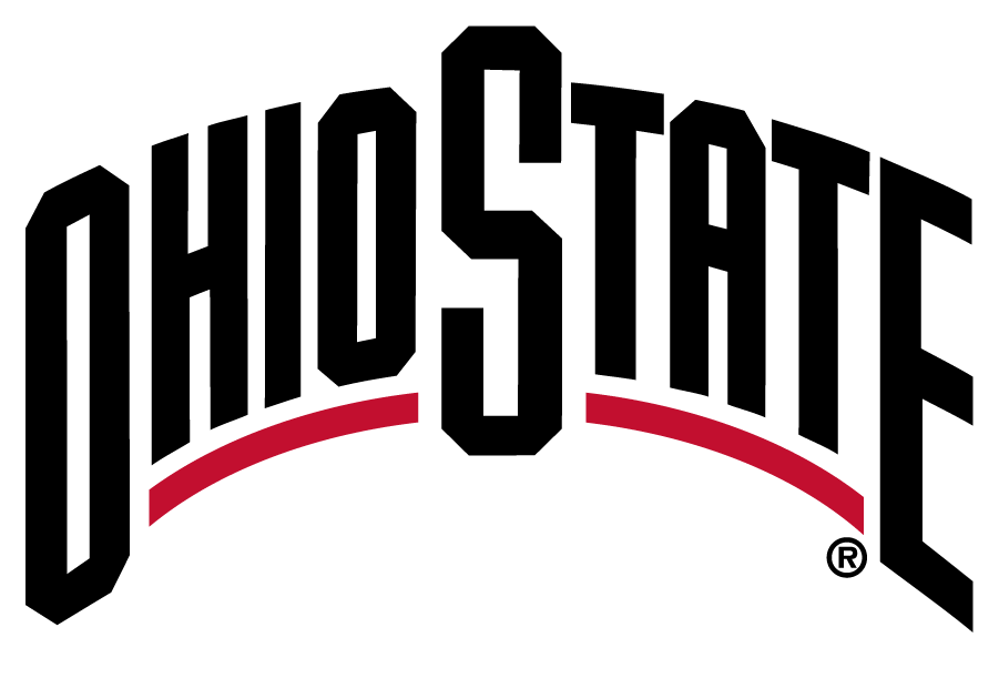 Ohio State Buckeyes 2013-Pres Wordmark Logo diy iron on heat transfer